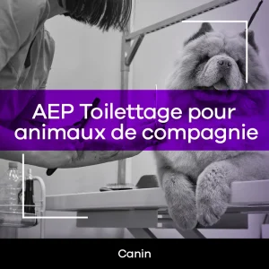 AEP Toilettage pour animaux de compagnie – TAC