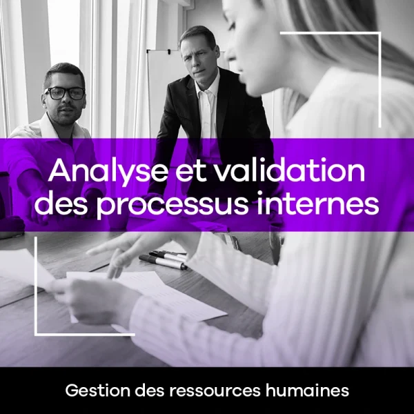 Analyse et validation des processus internes