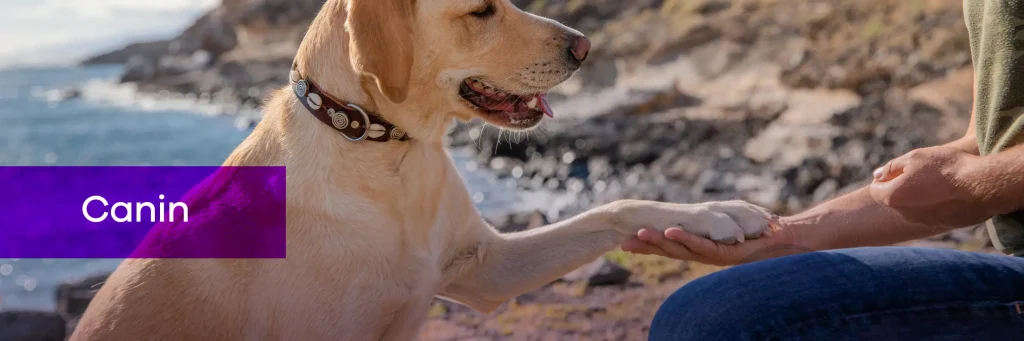 Canin