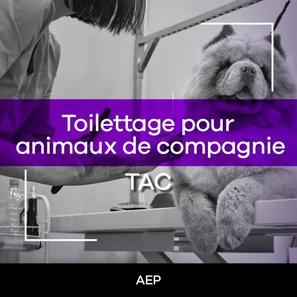 Toilettage pour animaux de compagnie – TAC